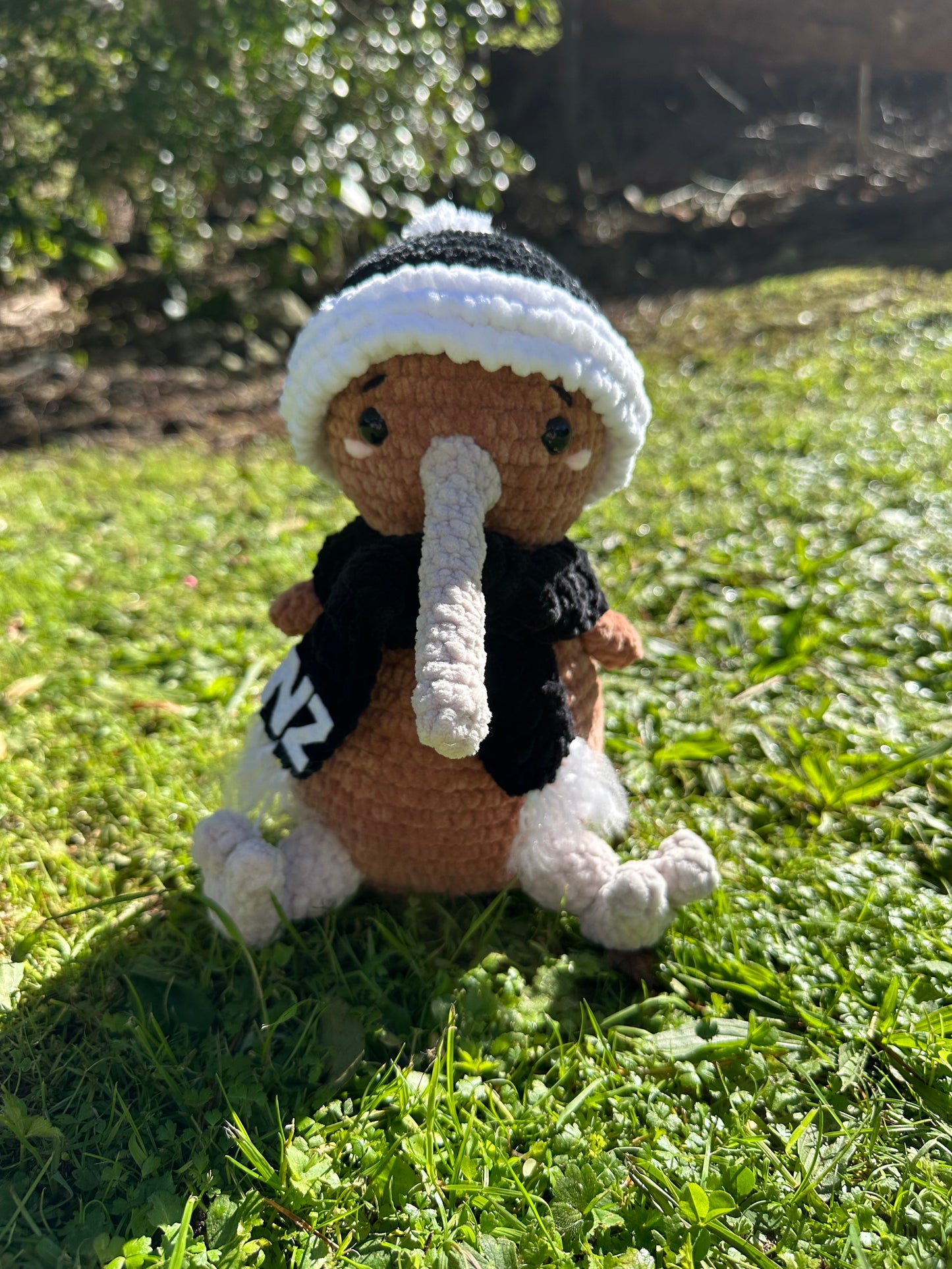 Koa the Kiwi