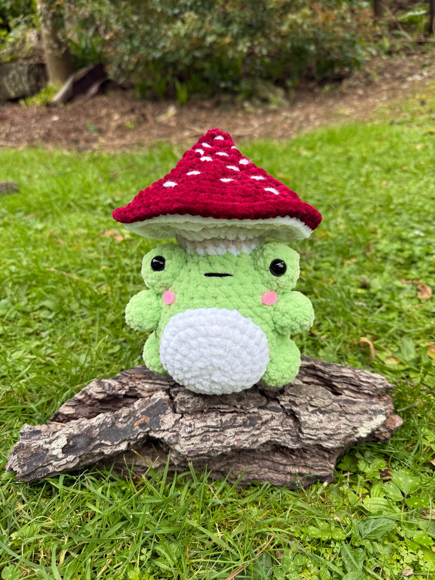 Mushroom Frog