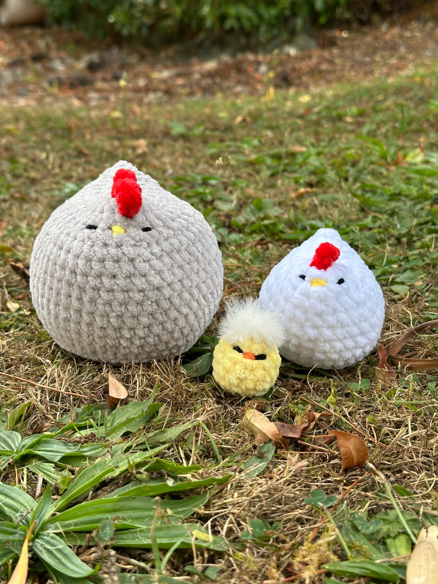 Mabel Chickens