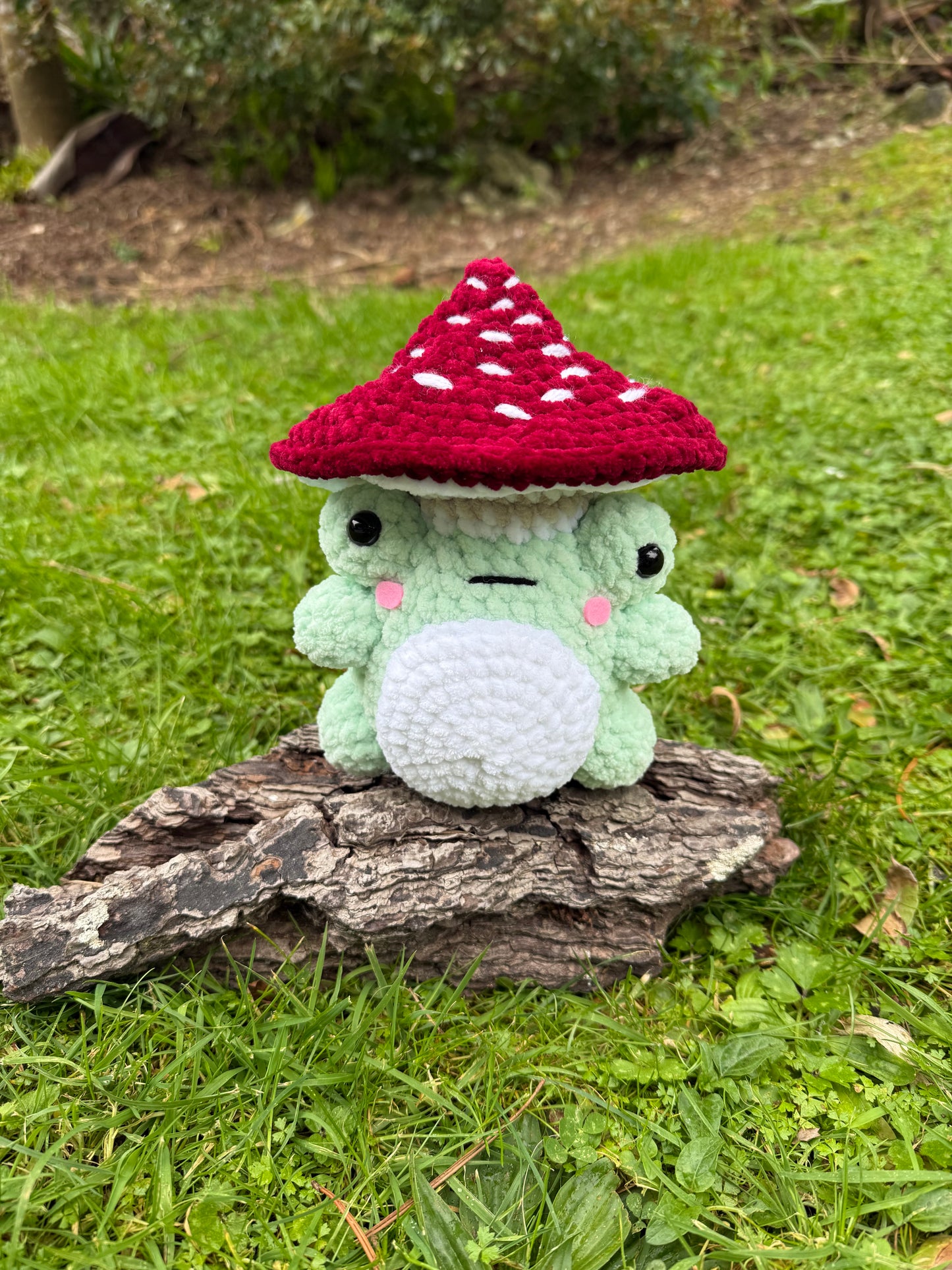 Mushroom Frog