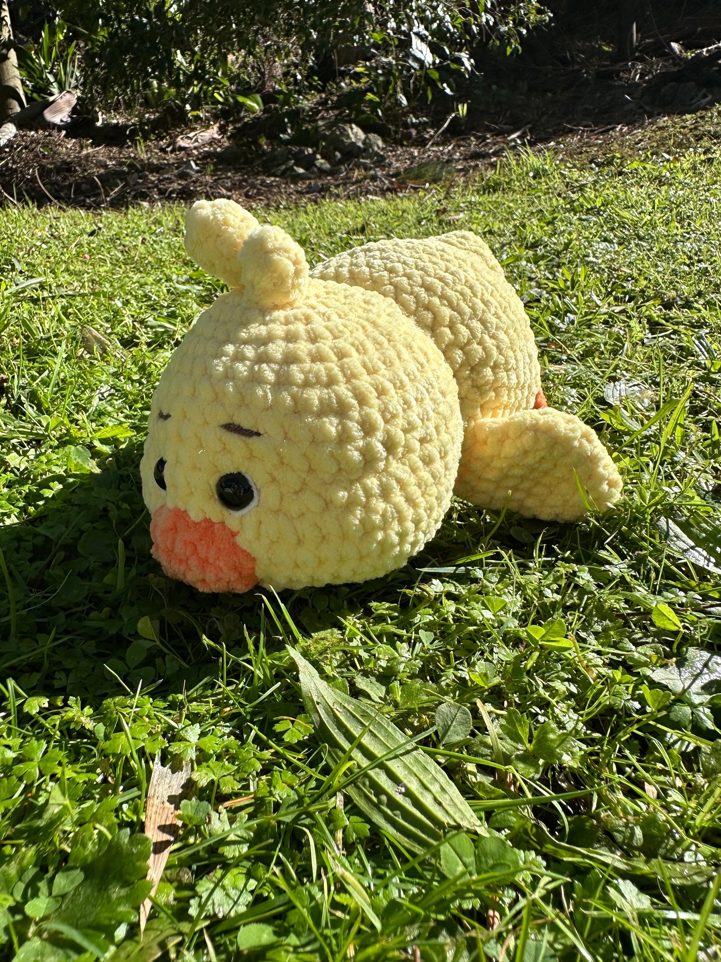 Duckling