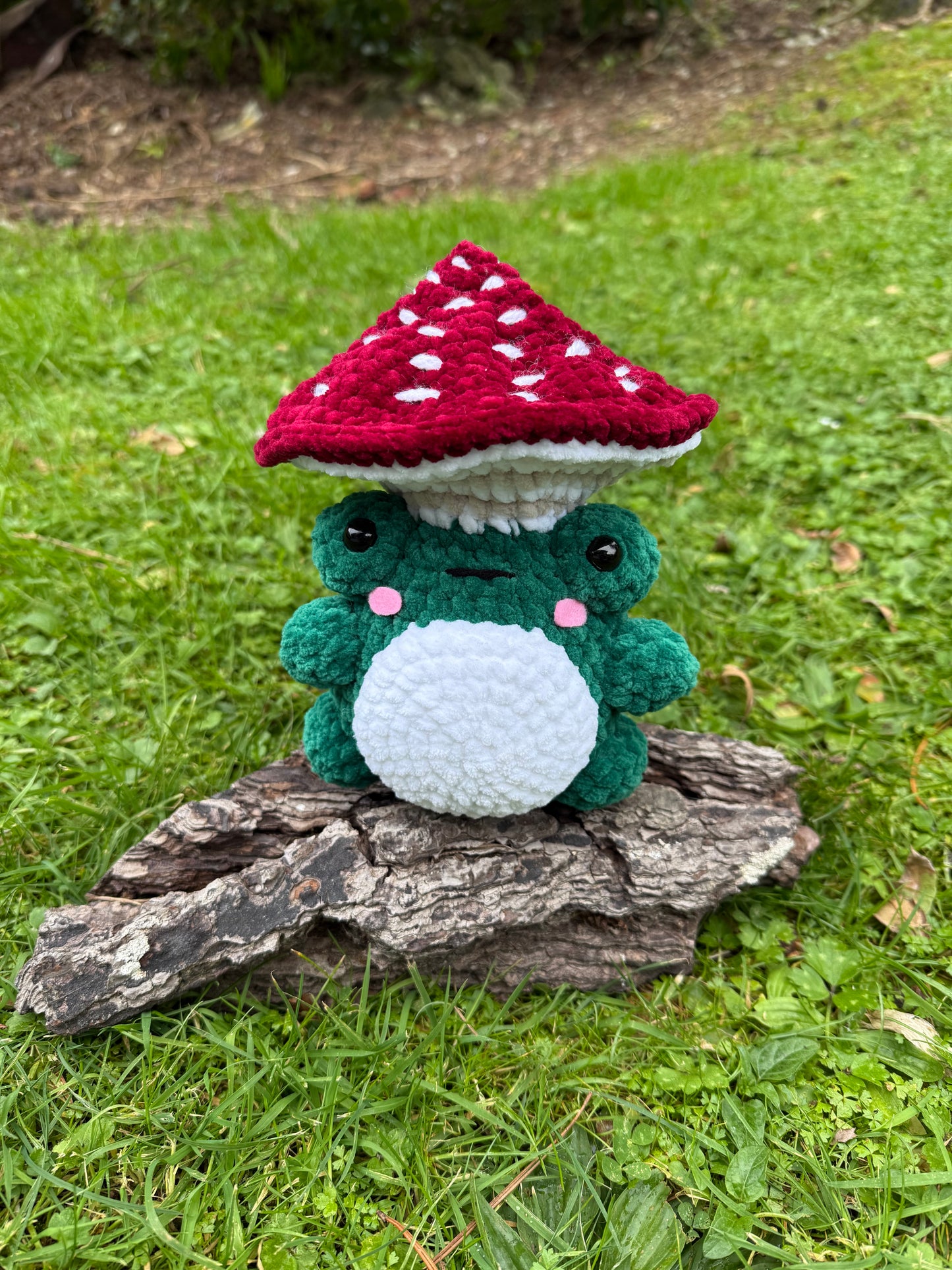 Mushroom Frog