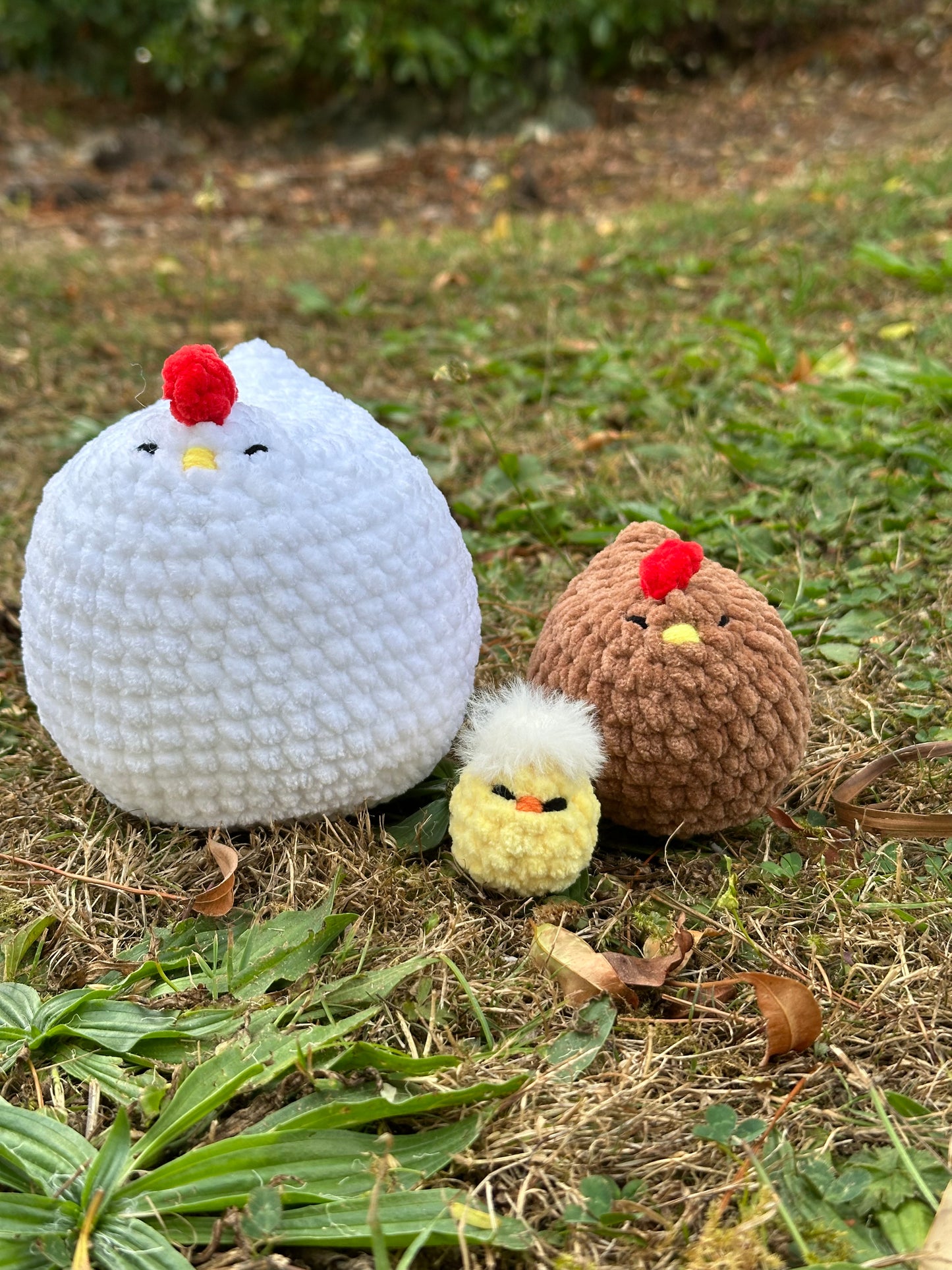 Mabel Chickens