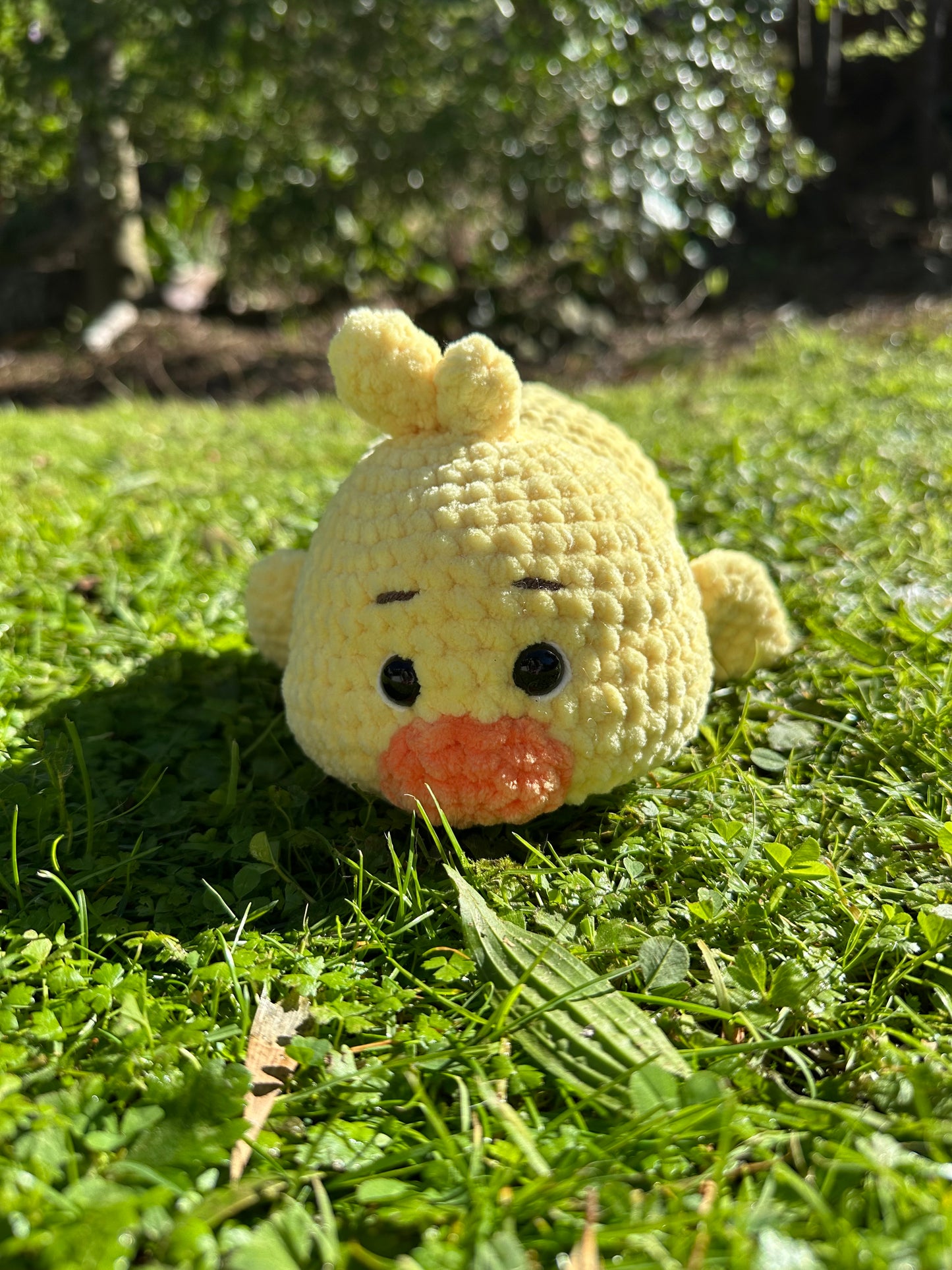 Duckling
