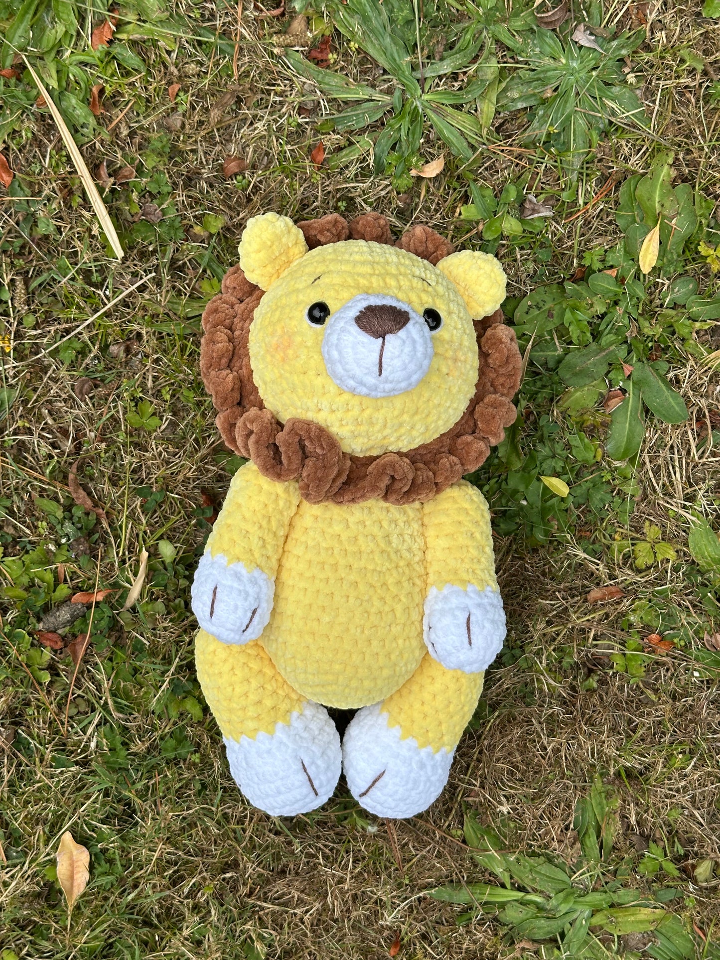 Leo the Lion