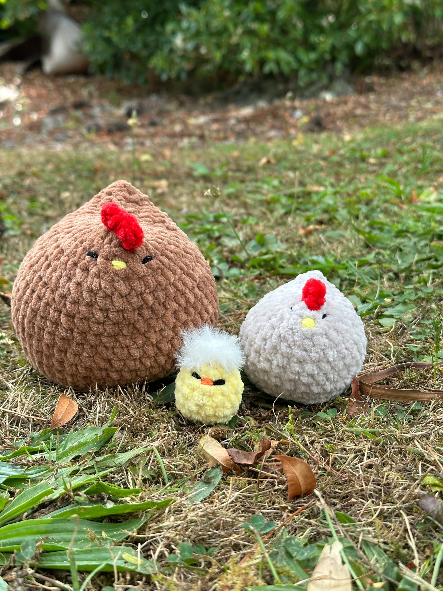 Mabel Chickens