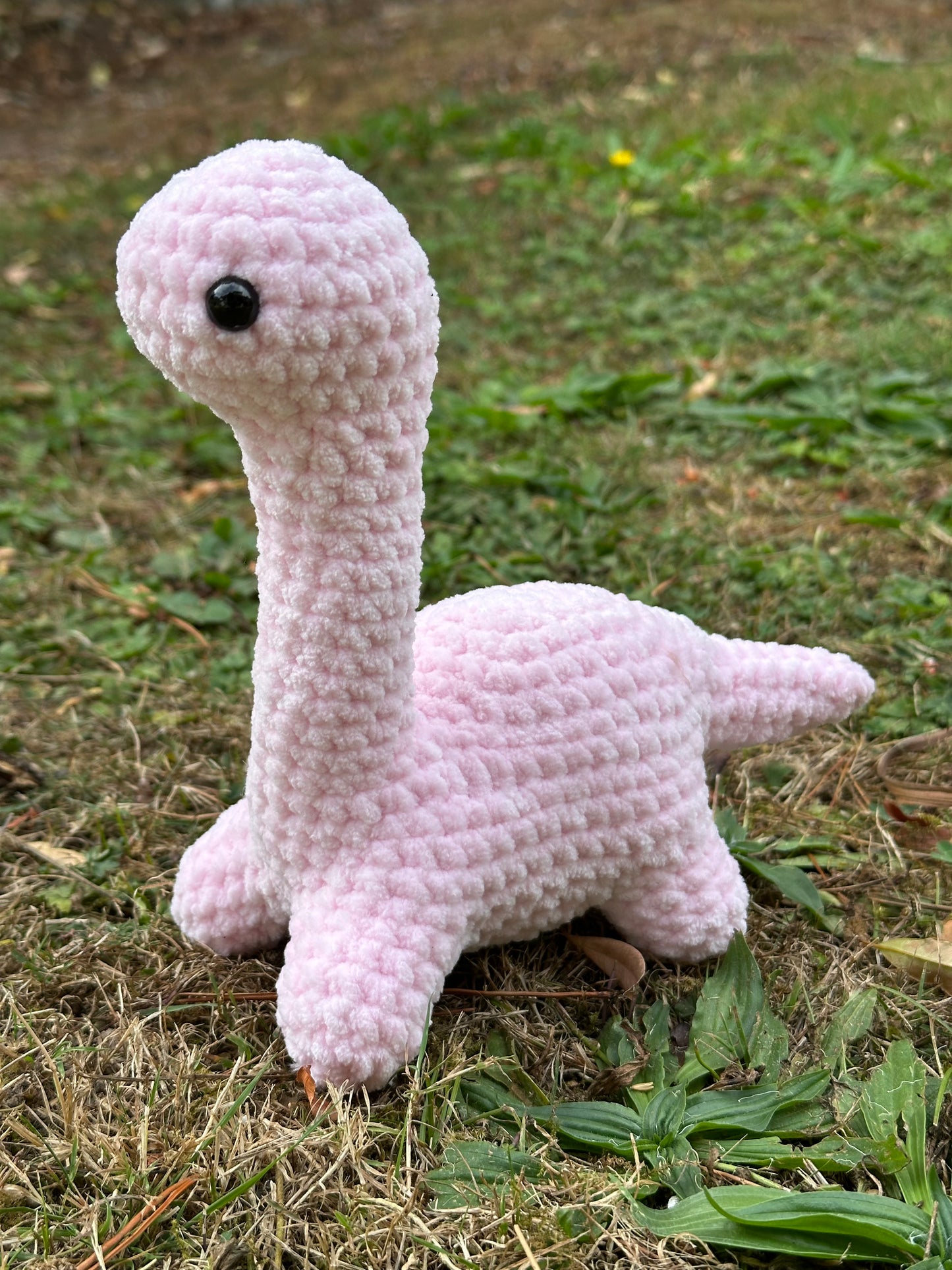 Brontosaurus