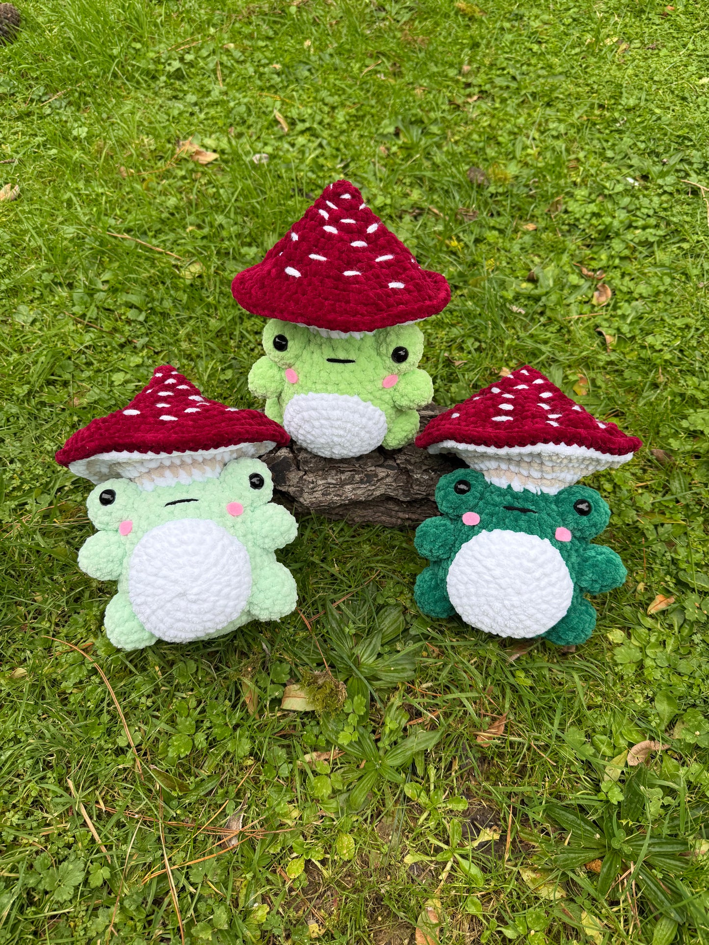 Mushroom Frog