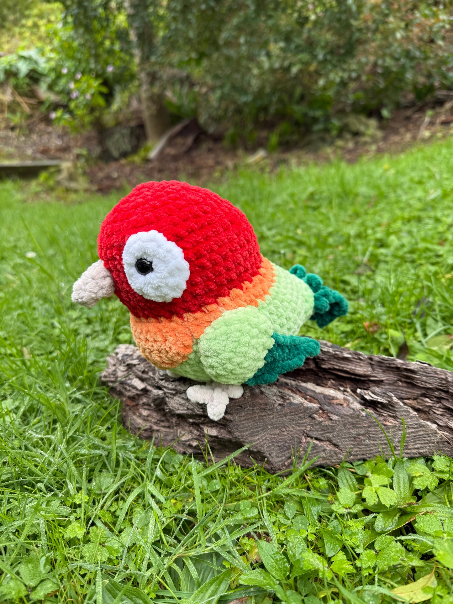 Parrot