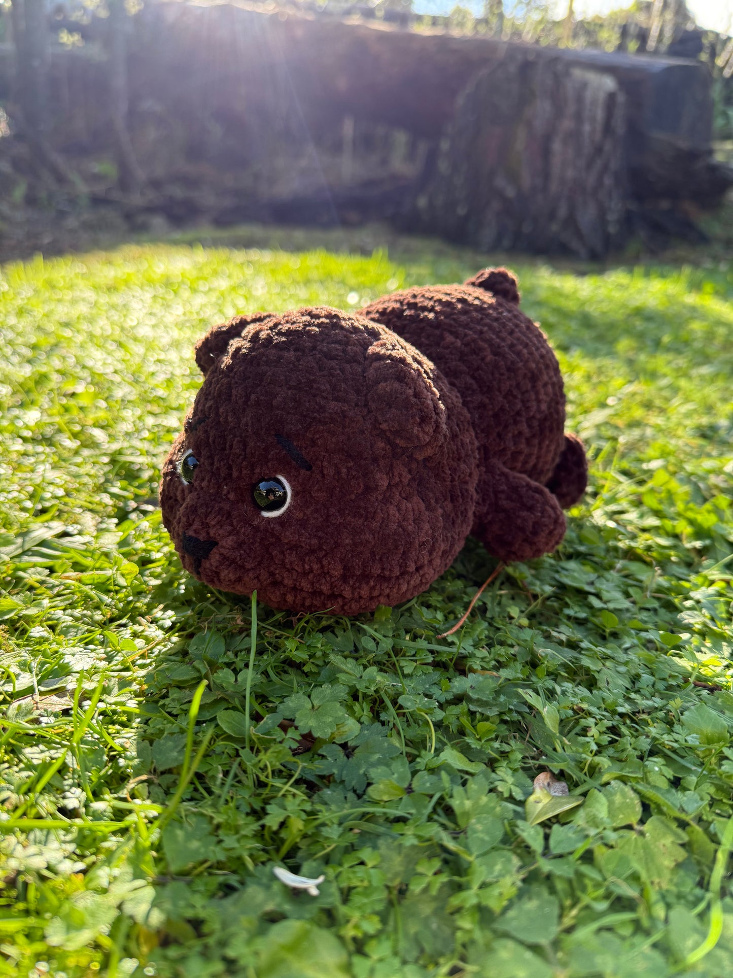 Bear