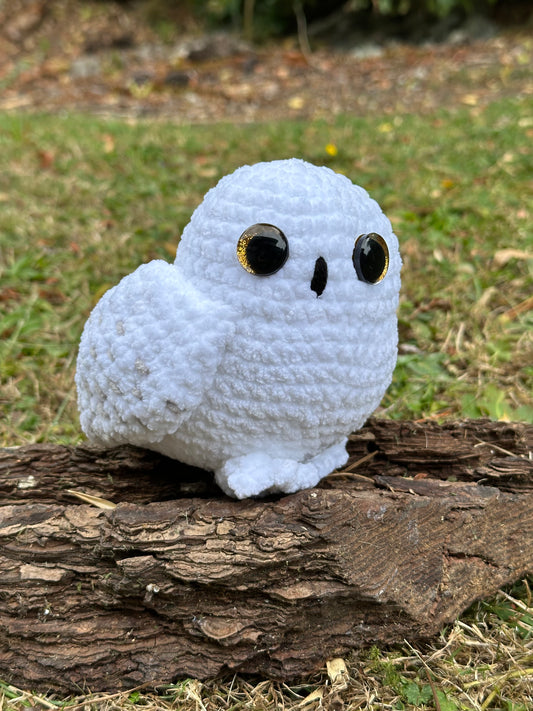 Snowy Owl