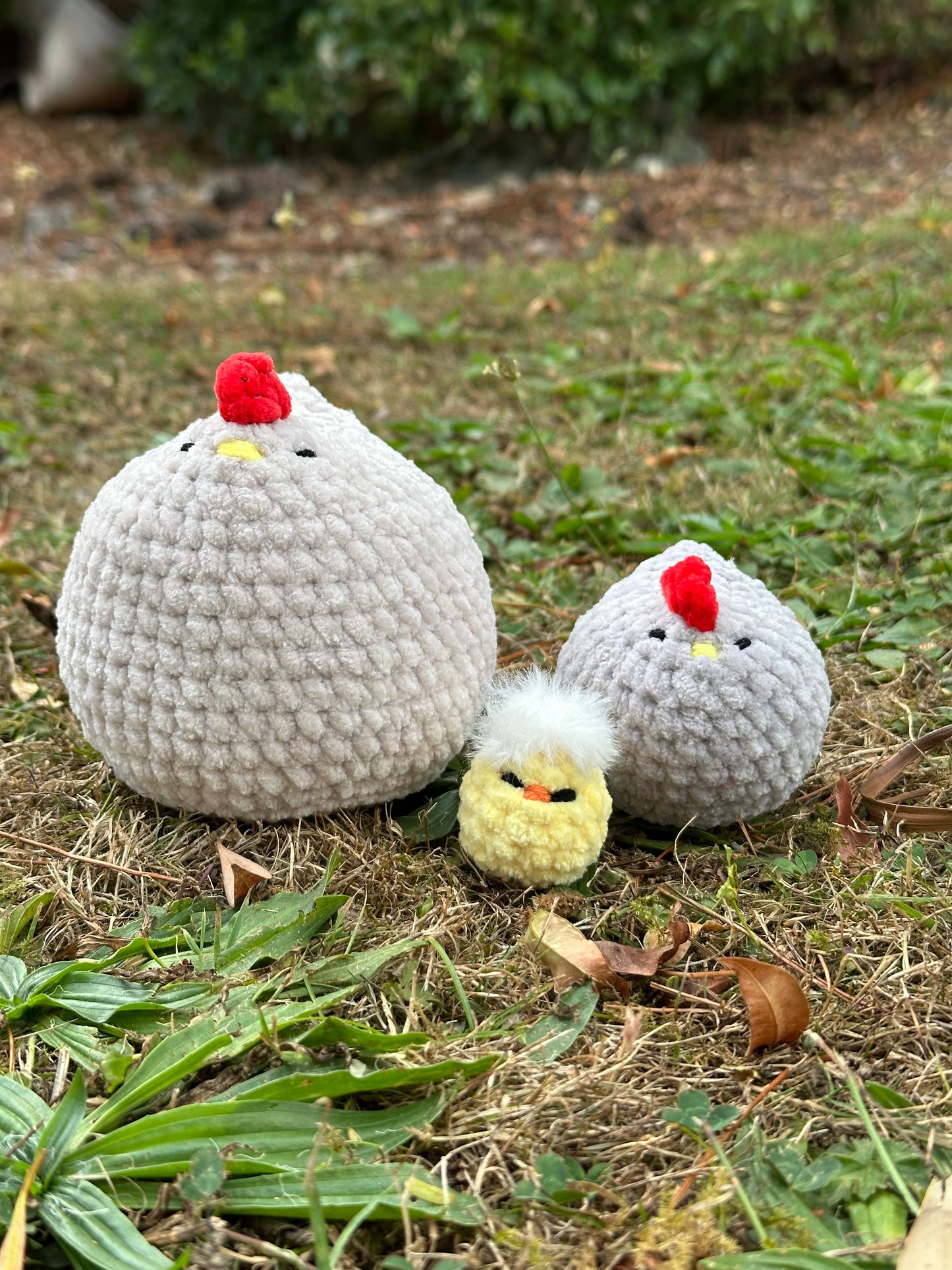 Mabel Chickens