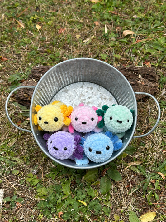 Baby Axolotls