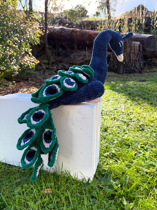 Peacock