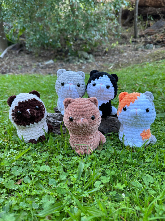 Kittens