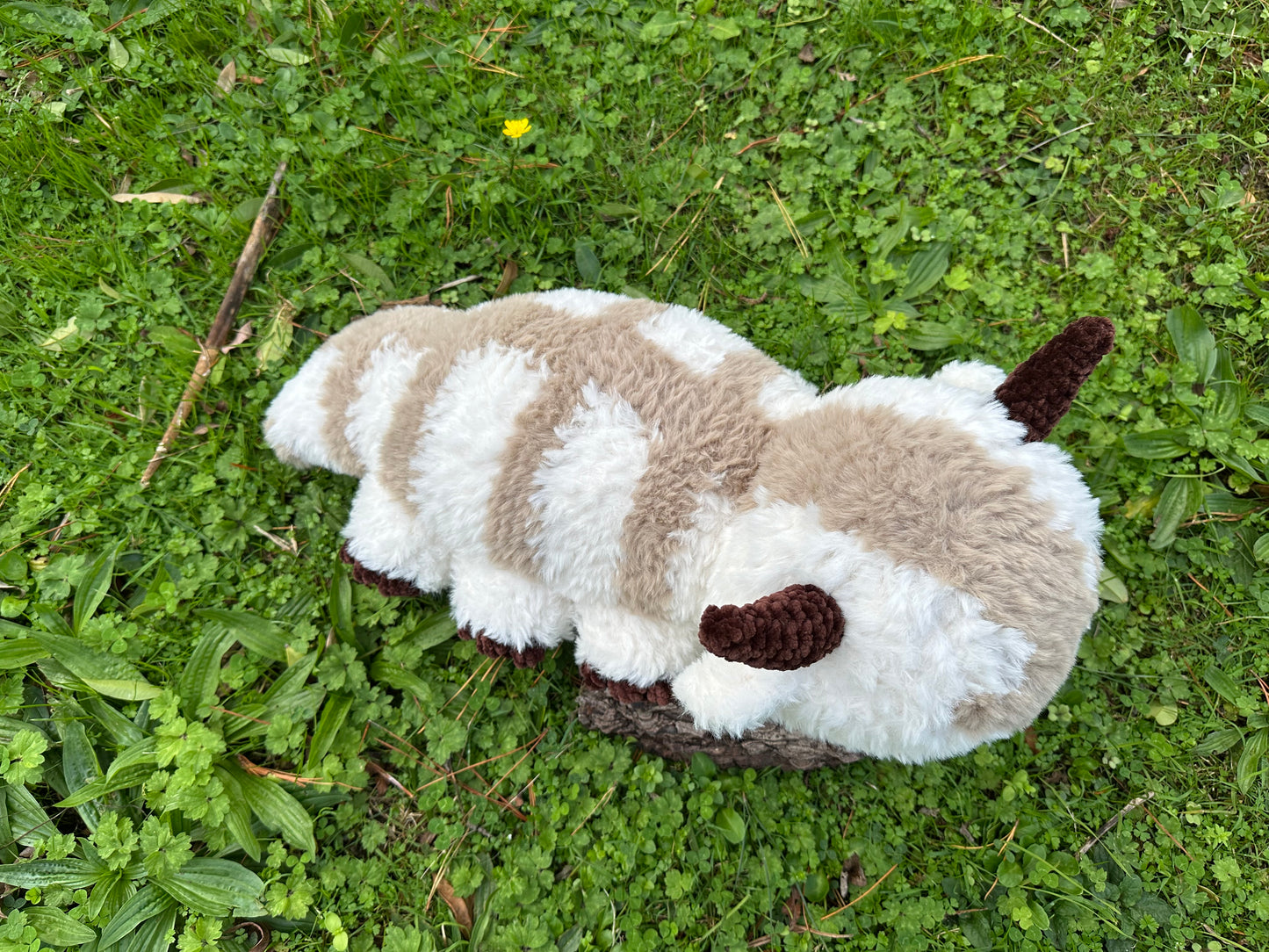 Avatar the Last Airbender: Appa